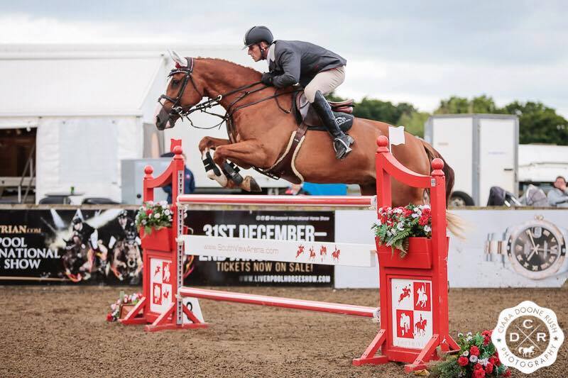 Quality Horses For Sale